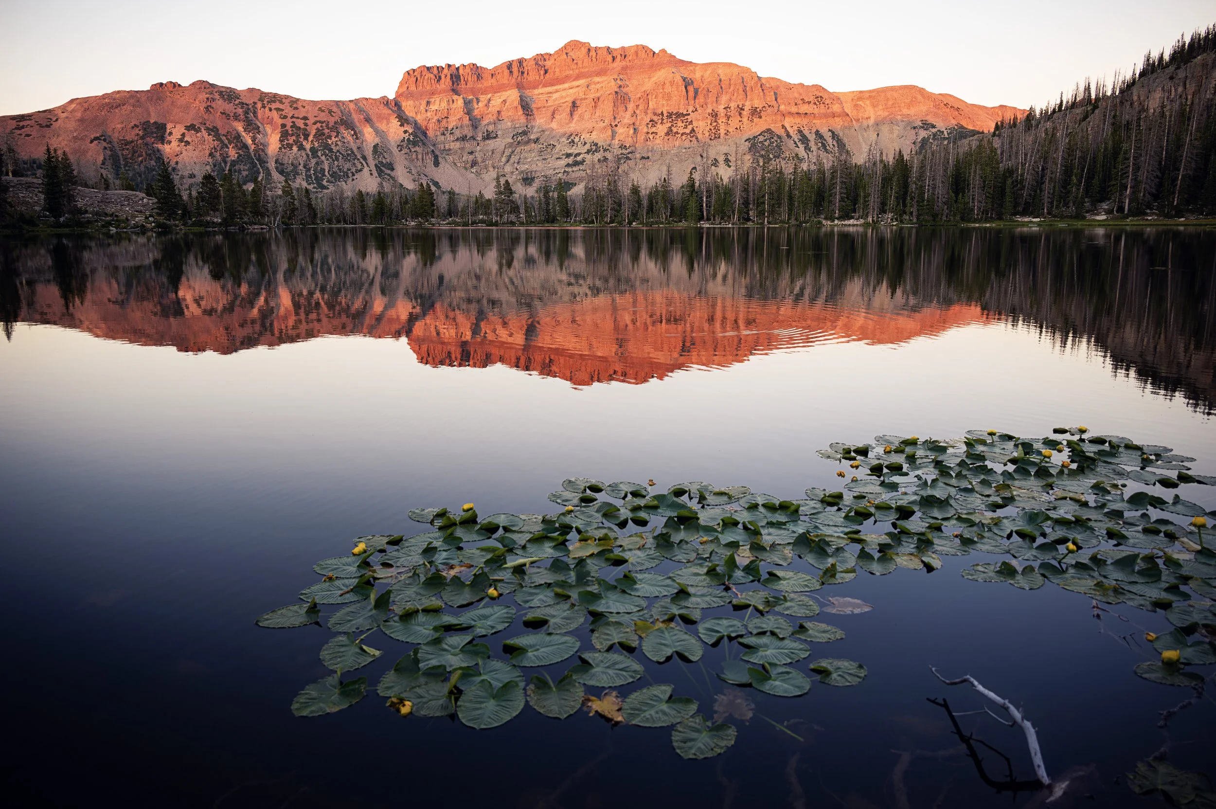 Uinta Mountains
