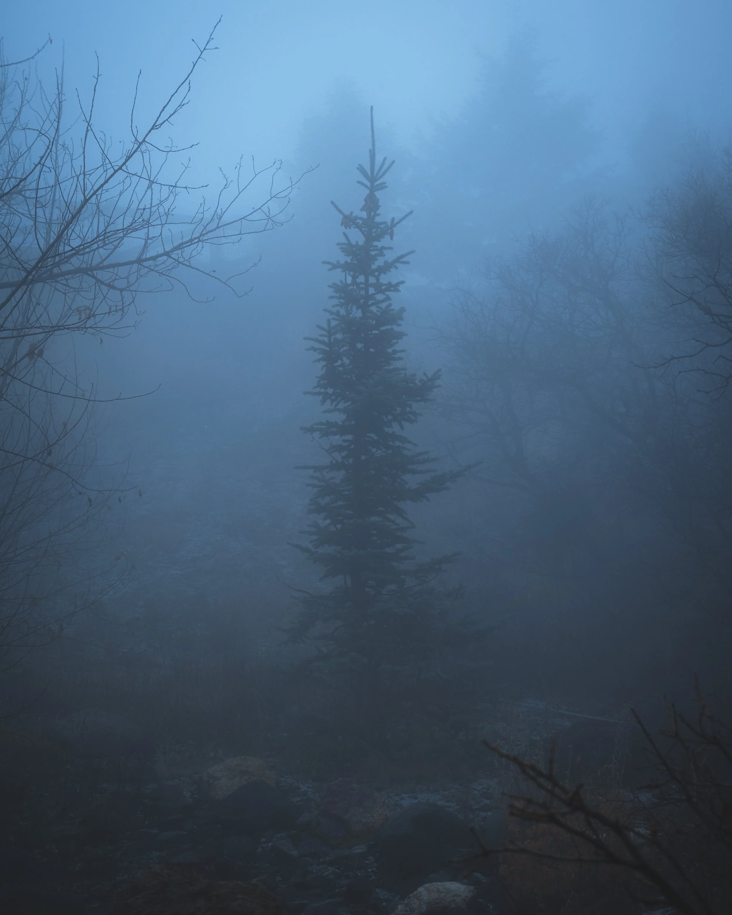 Deer Ridge