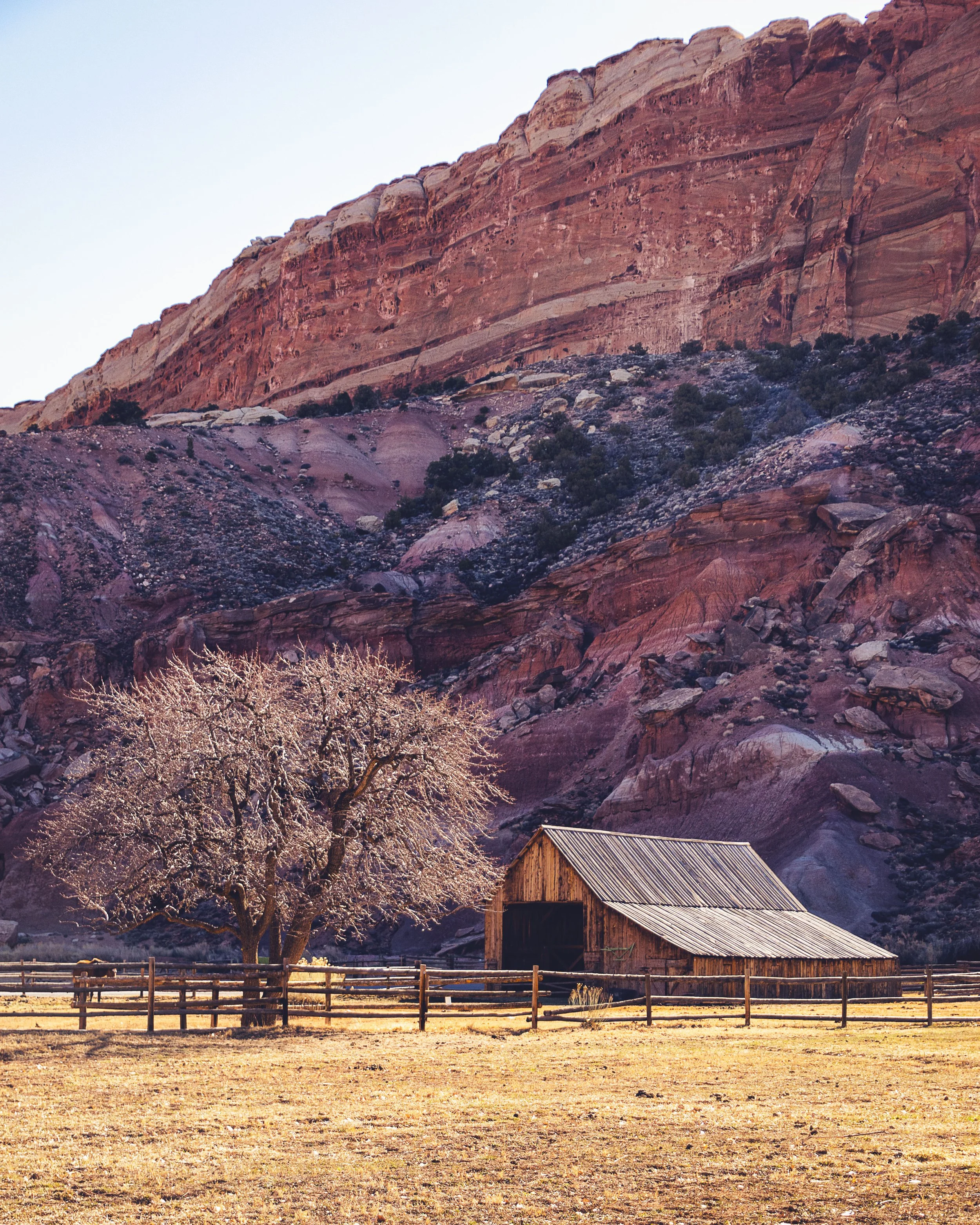 Capitol Reef National Park