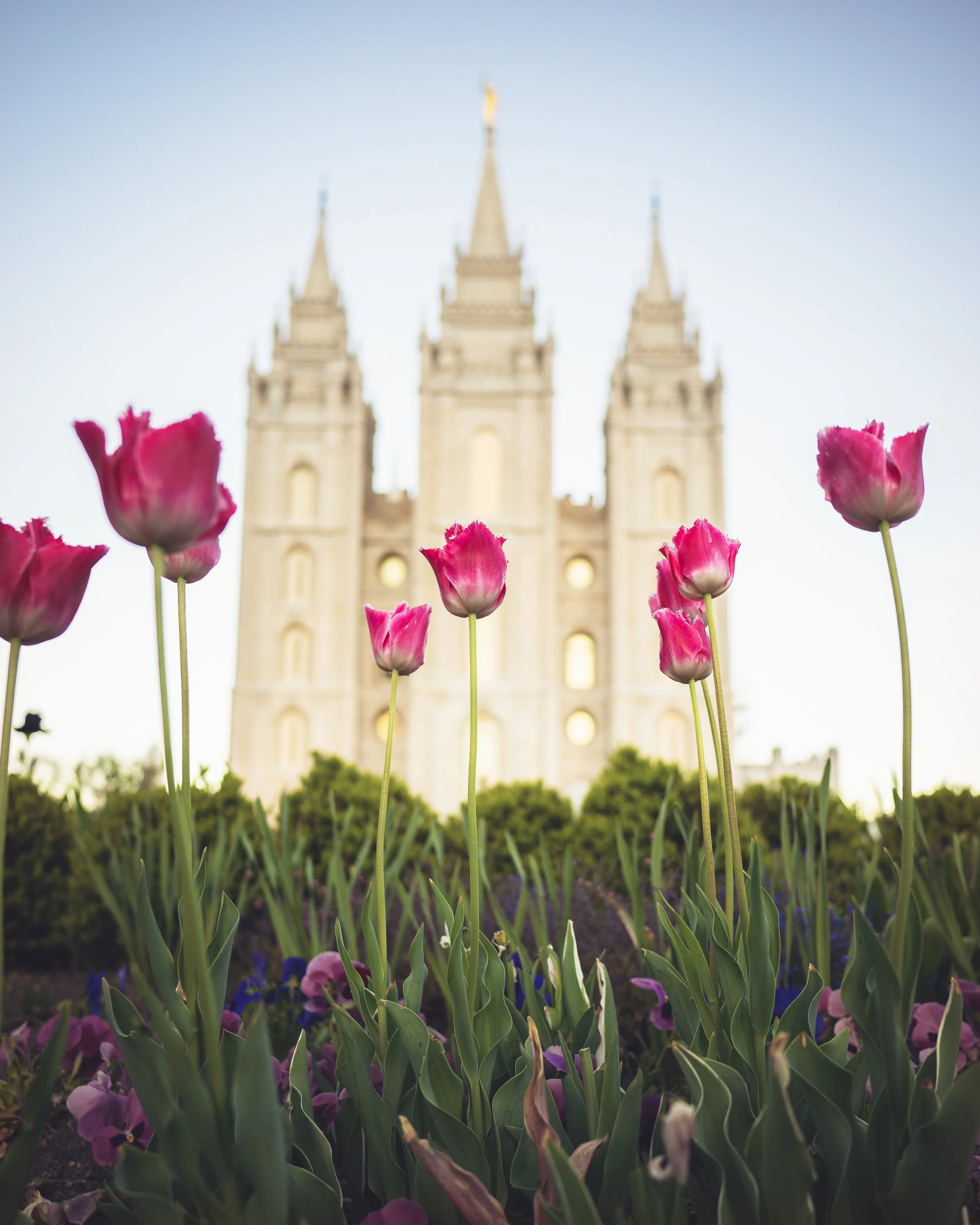 Salt Lake City