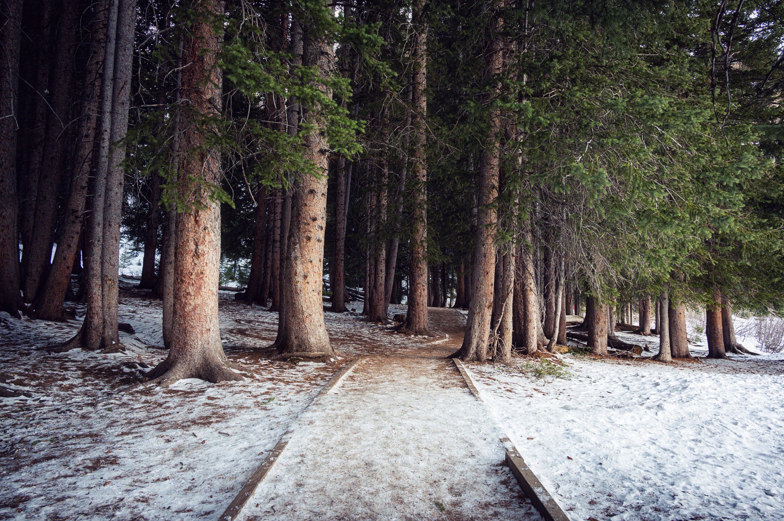 Big Cottonwood Canyon