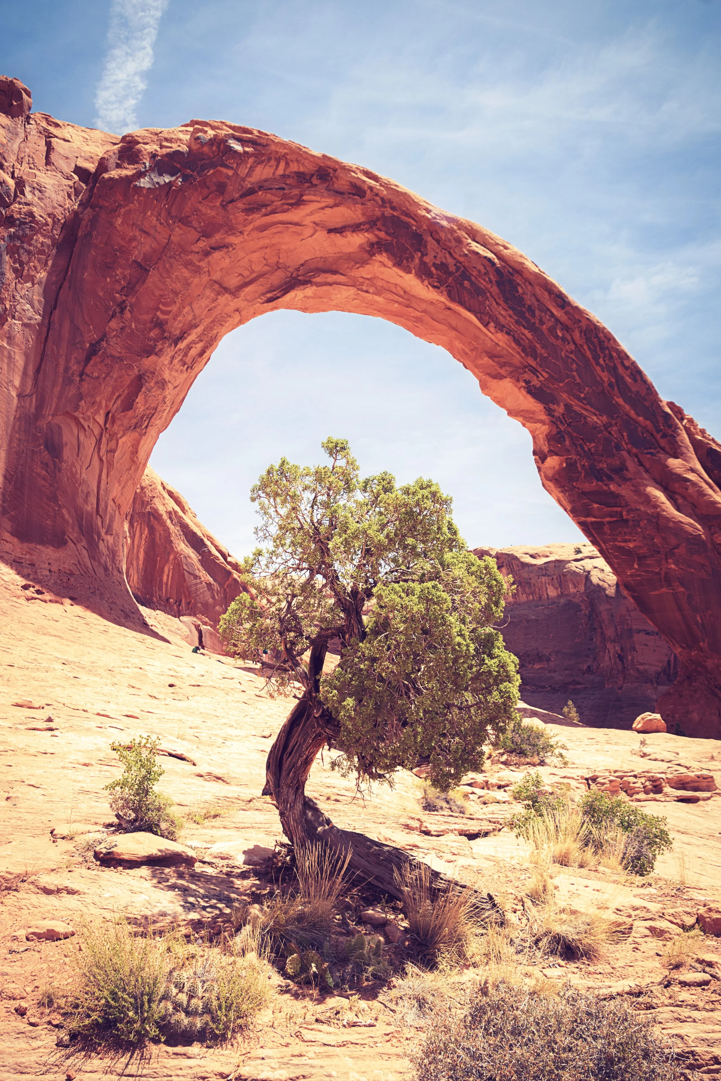 Moab