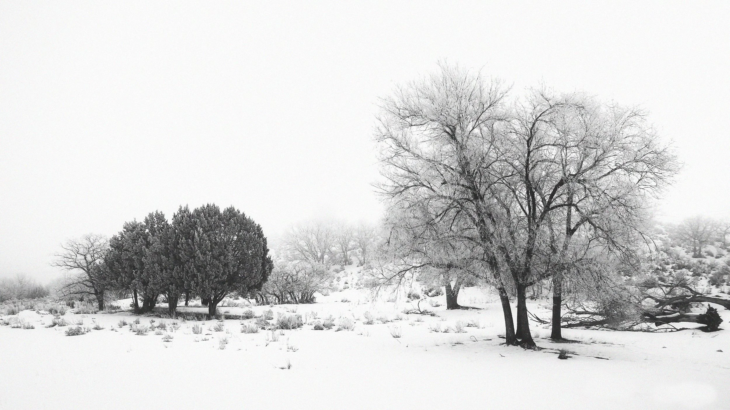 Butterfield Canyon