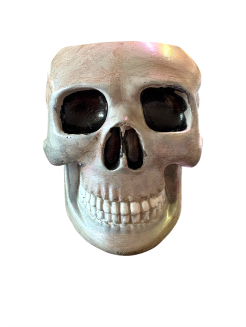 10pc Lot Skull Candle Vessel - 4.5oz