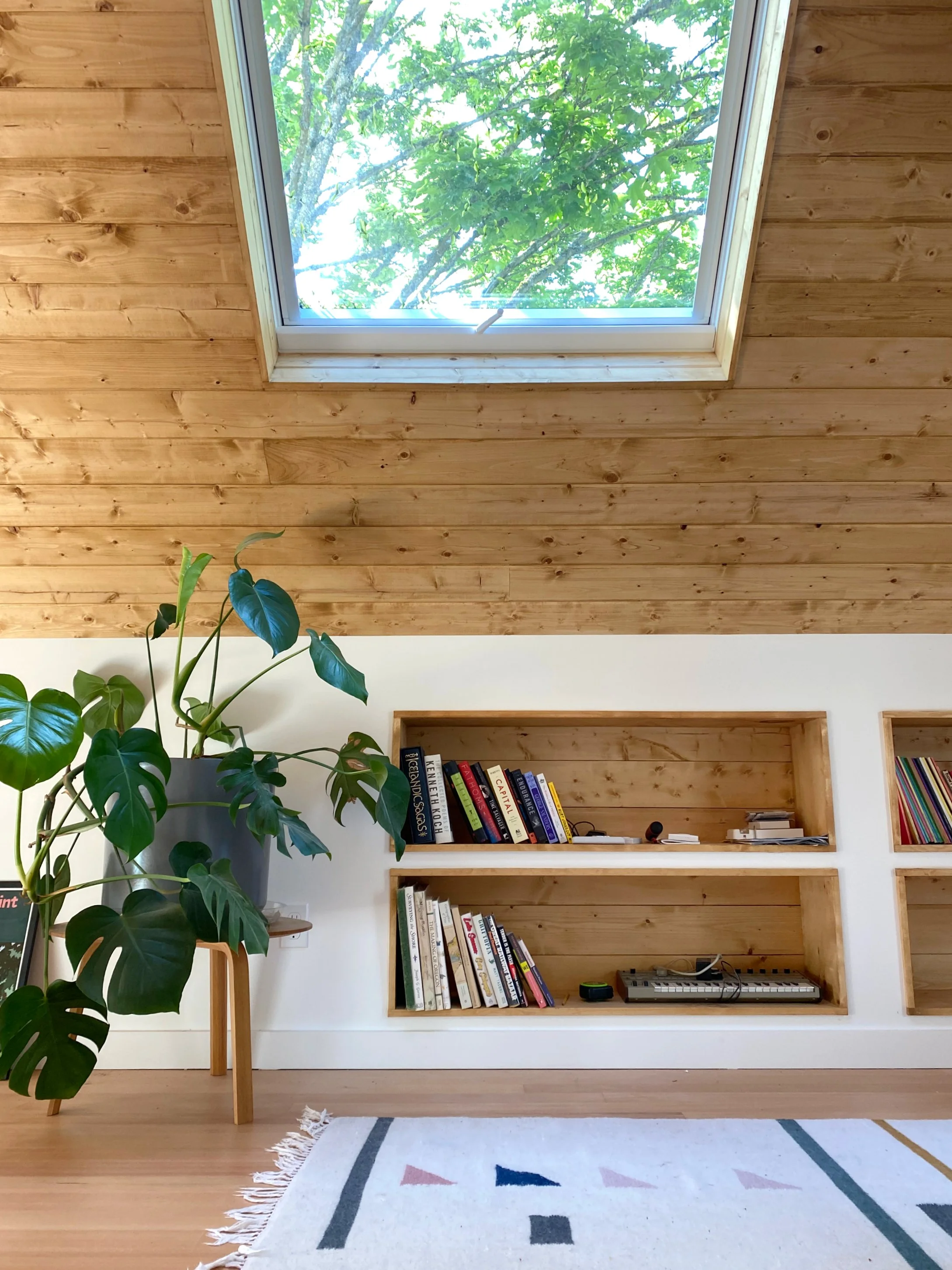 A room with a wooden ceiling and built-in shelves holding books. A large green plant in a gray pot is on a light wooden table, and a colorful geometric rug partially covers the floor. A skylight in the ceiling shows green leaves and branches outside.