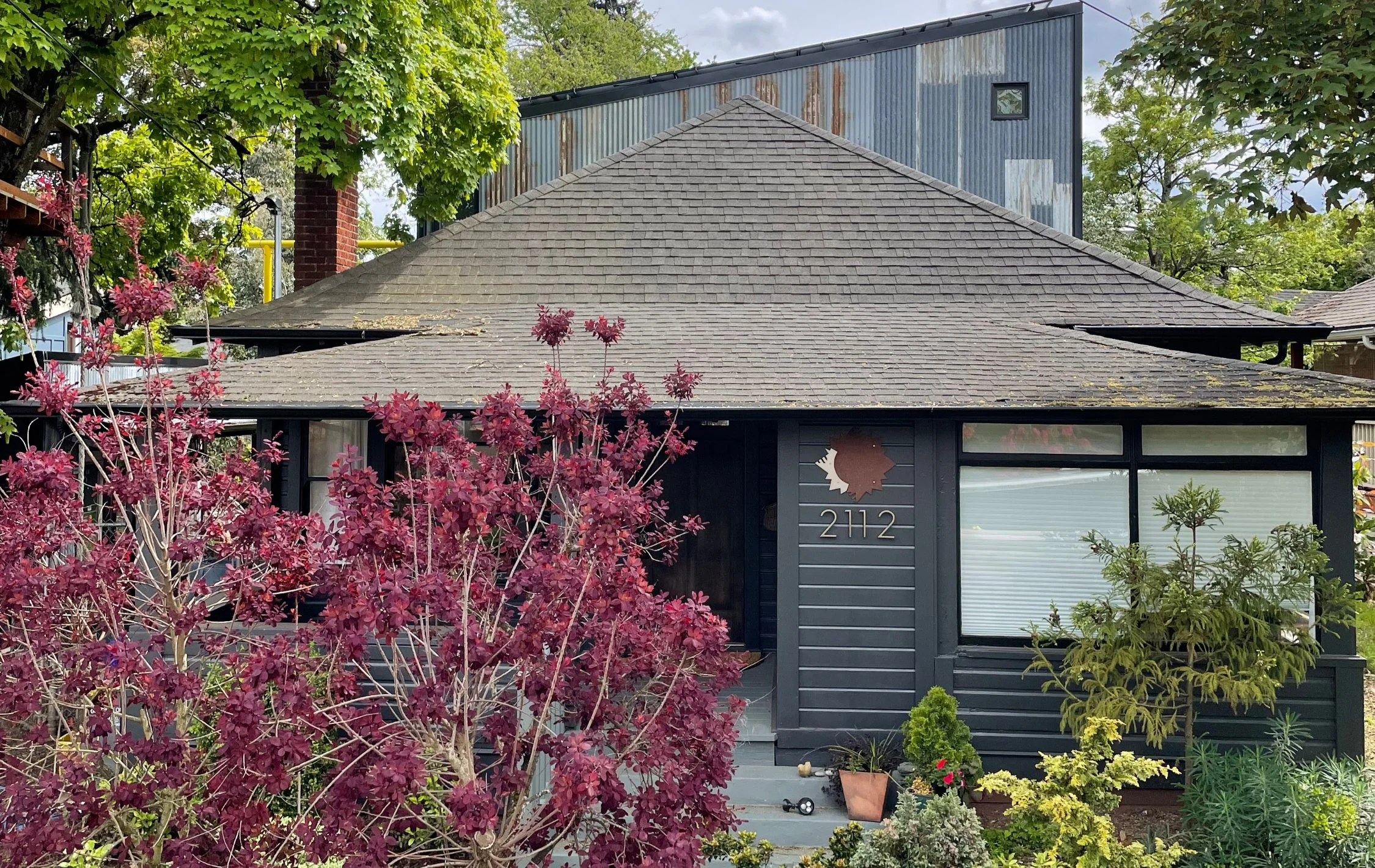 The street-facing front of this house remodel suits the landscaping's pink and green foliage and textures.