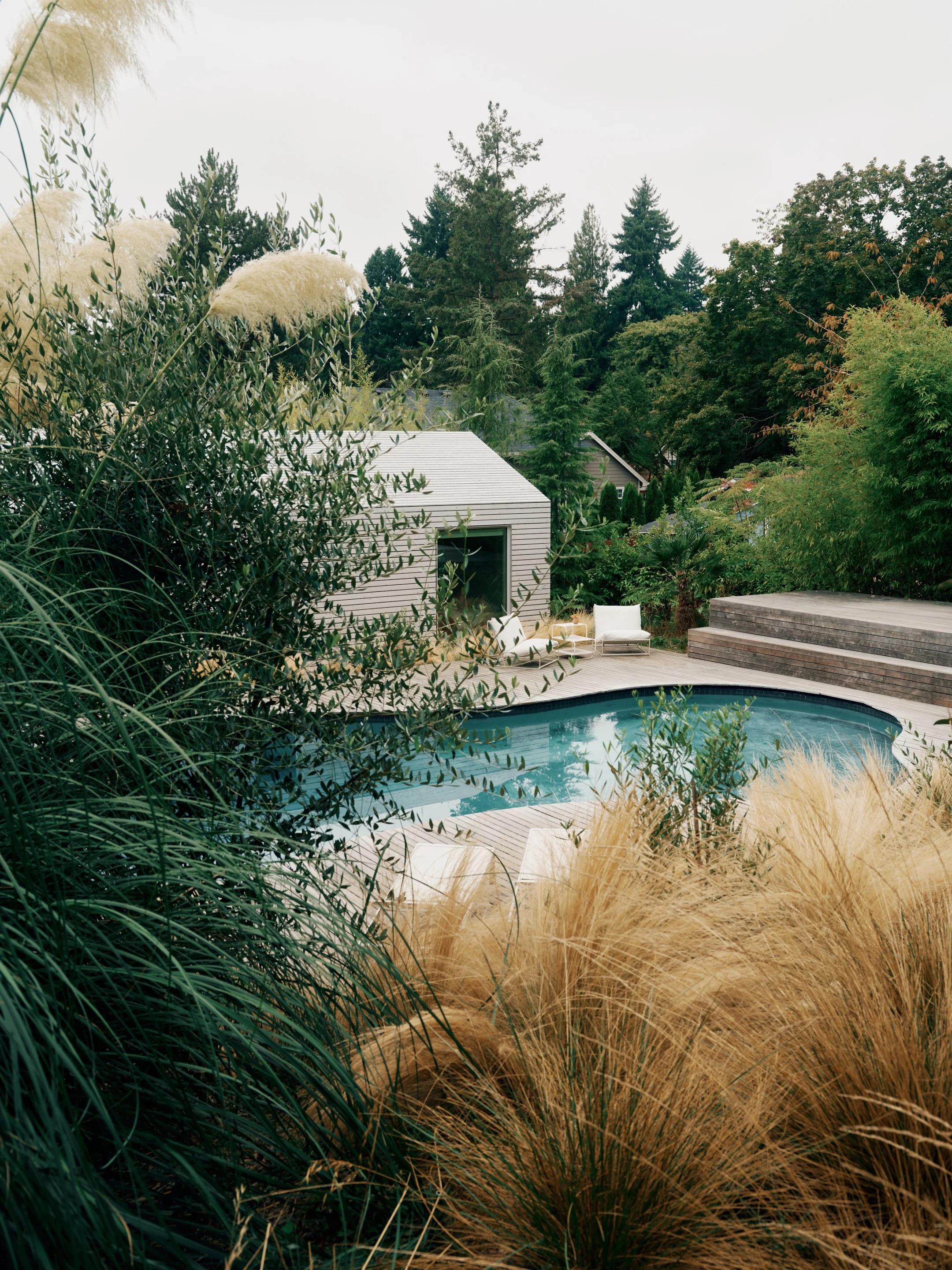 An outdoor backyard scene with a swimming pool, surrounded by lush green trees and ornamental grasses, with patio furniture and a modern pool house in the background.
