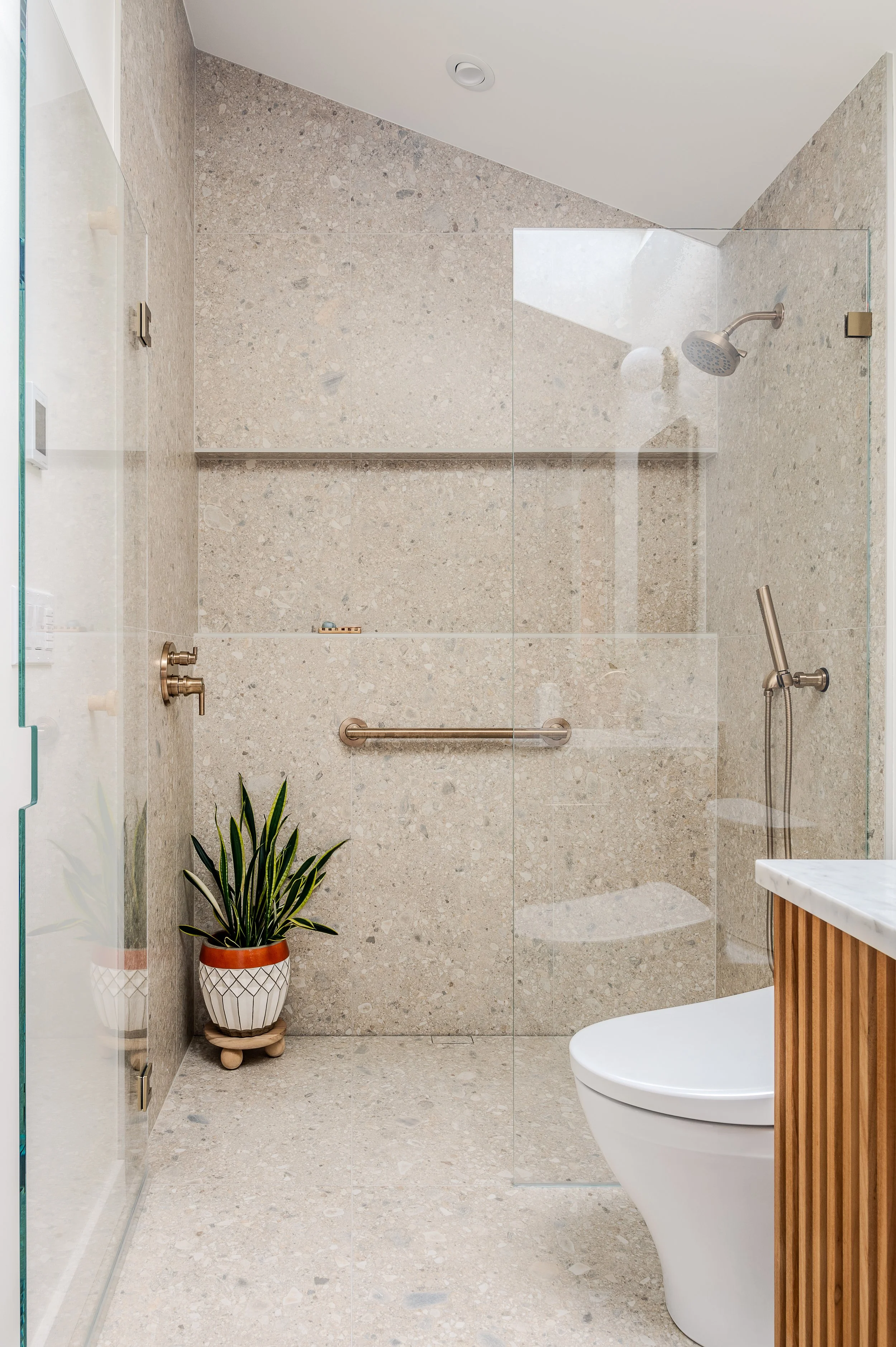 Modern ADU bathroom with a walk-in shower, plant in a decorative pot, and a white toilet.