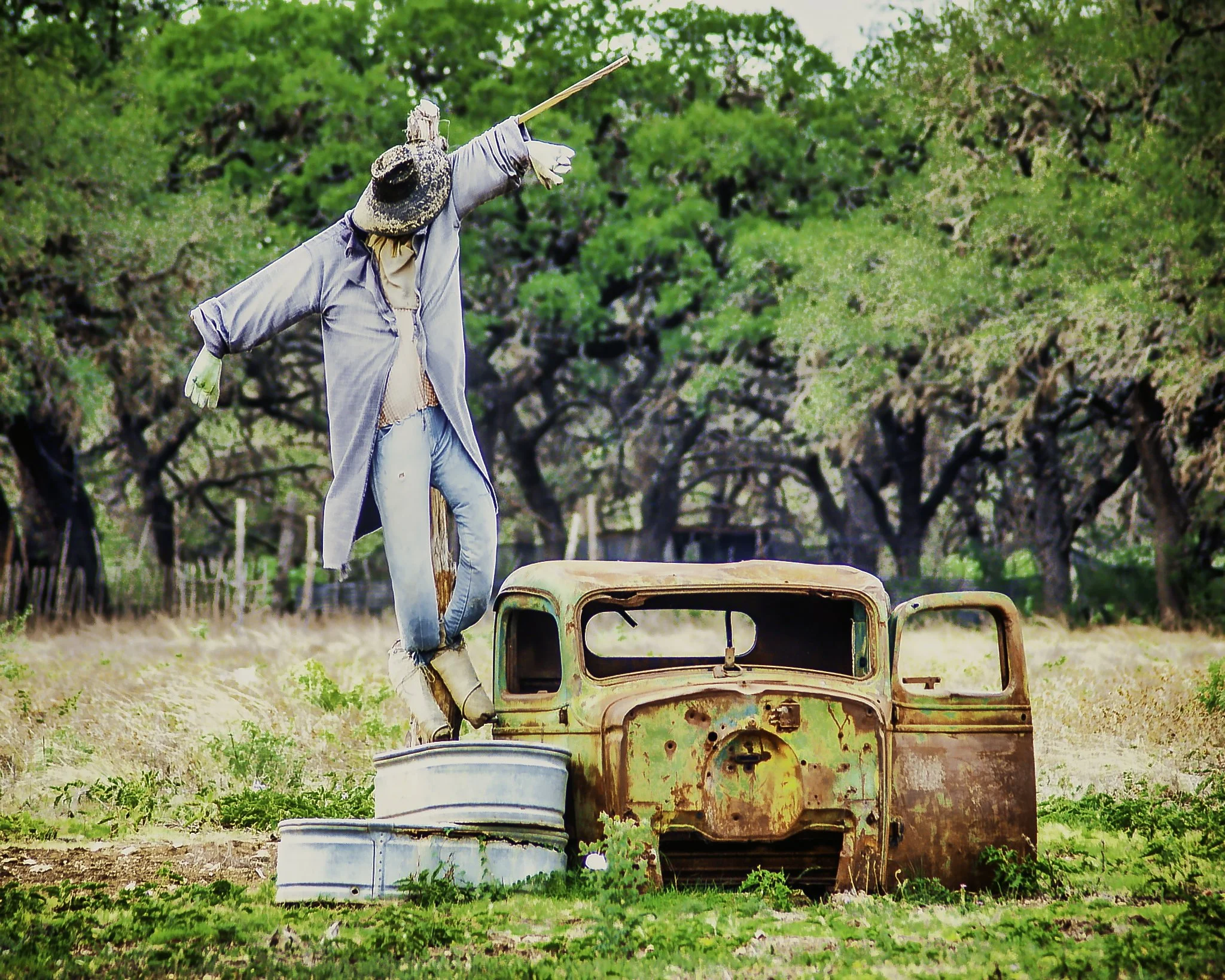 The Scarecrow