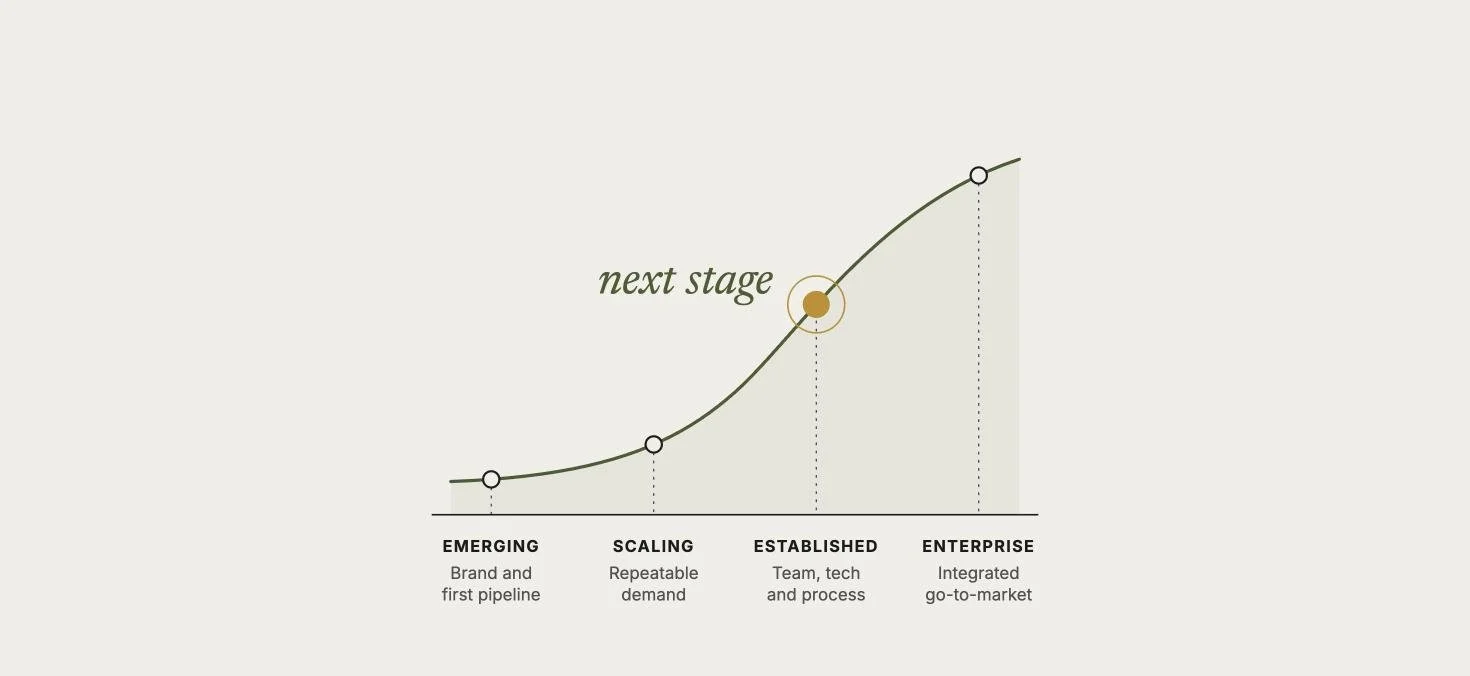 Business growth curve showing emerging, scaling, established, and enterprise stages, with “next stage” highlighted at the established phase