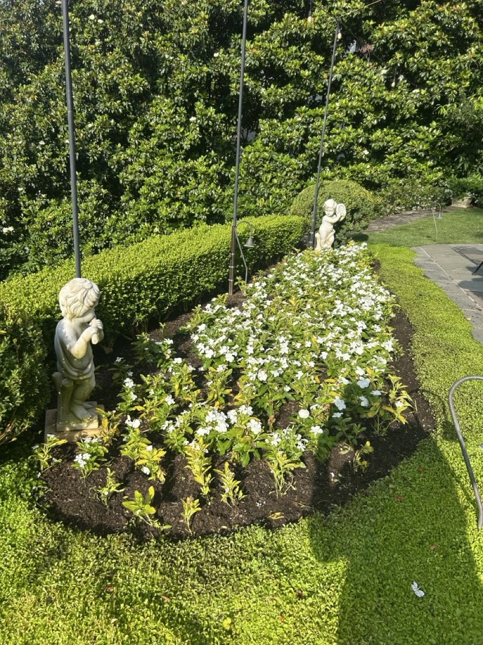 20250606_124601665_iOS Large.jpeg