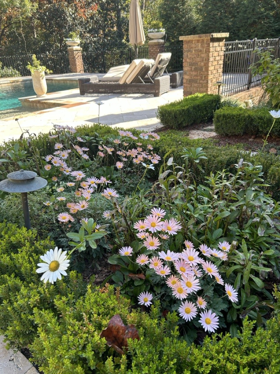 20231024_145429953_iOS Large.jpeg