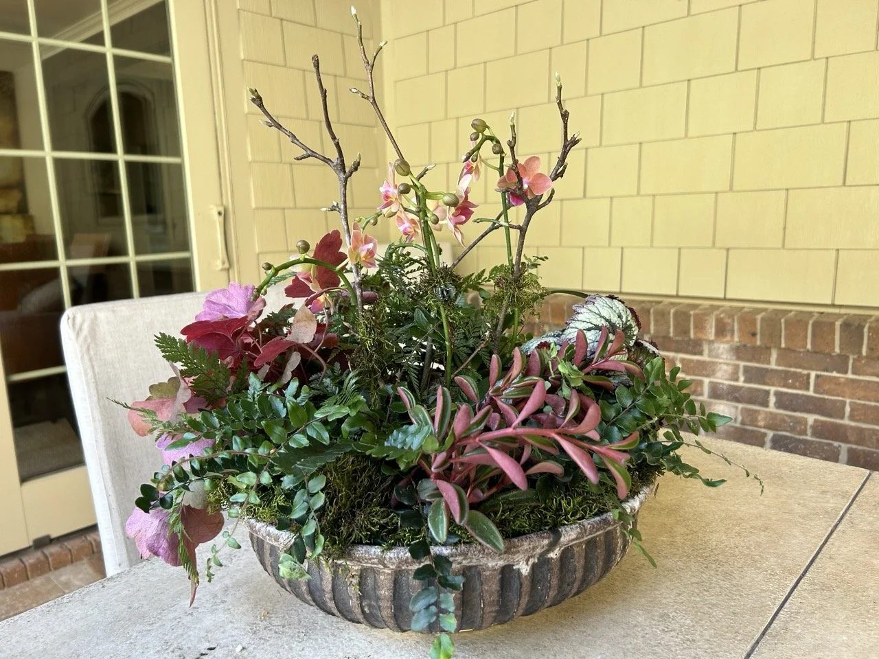 20231024_145554802_iOS Large.jpeg