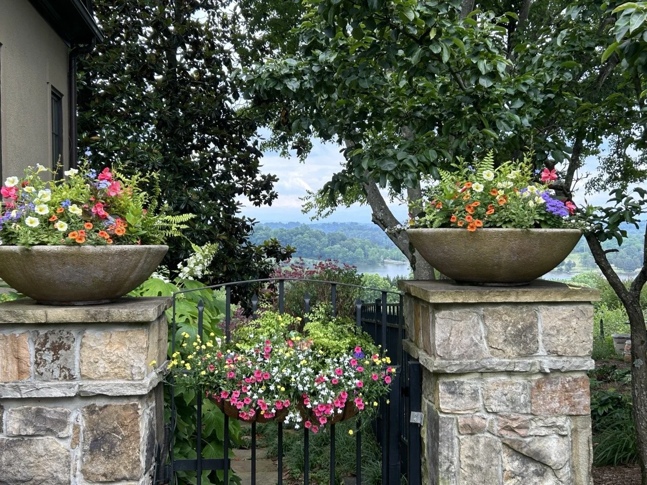 20230518_191422247_iOS Large.jpeg