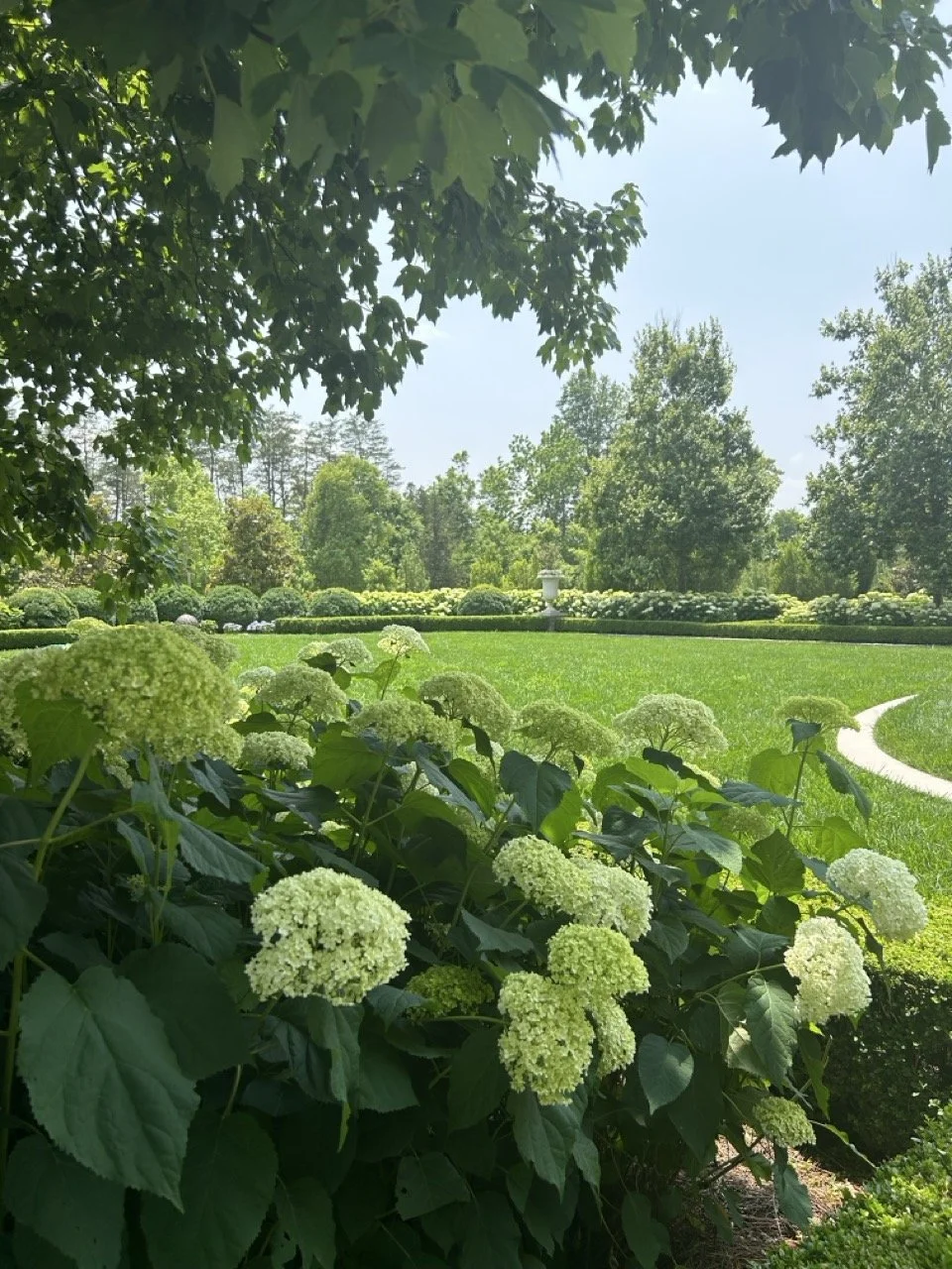 20230606_181756651_iOS Large.jpeg