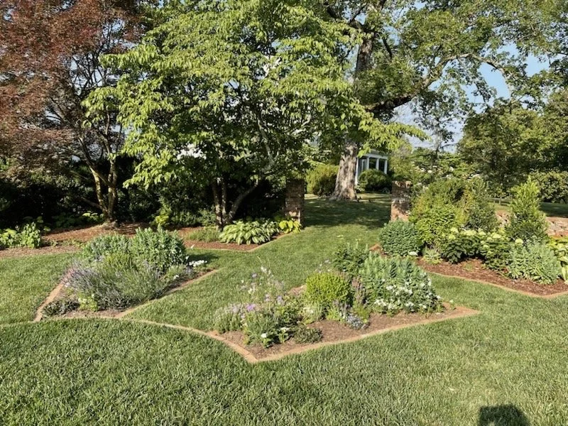 20230610_124719889_iOS Large.jpeg