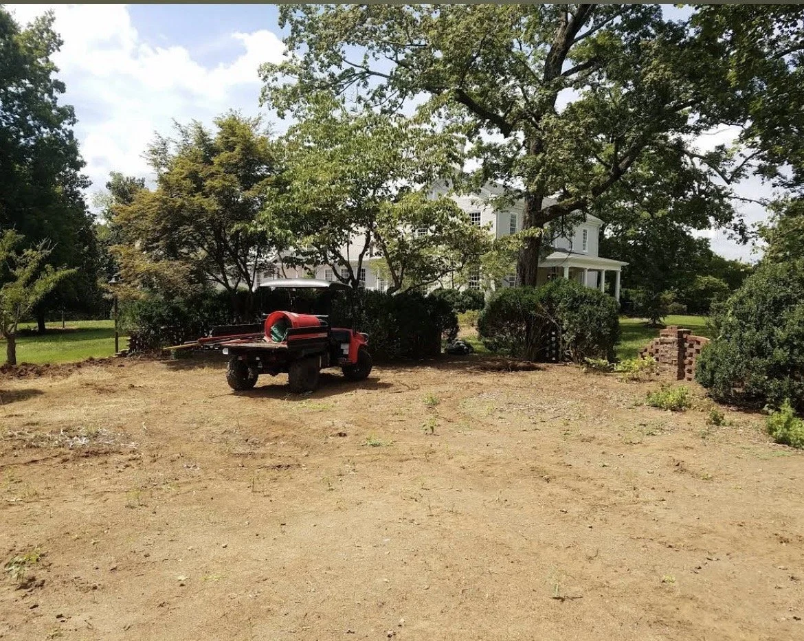 20230610_122529000_iOS Large.jpeg