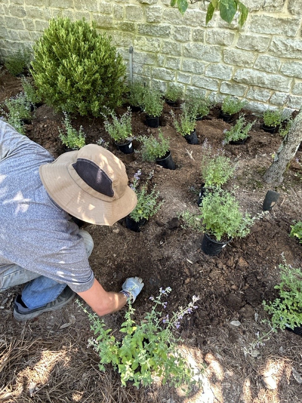 20230711_193509136_iOS Large.jpeg