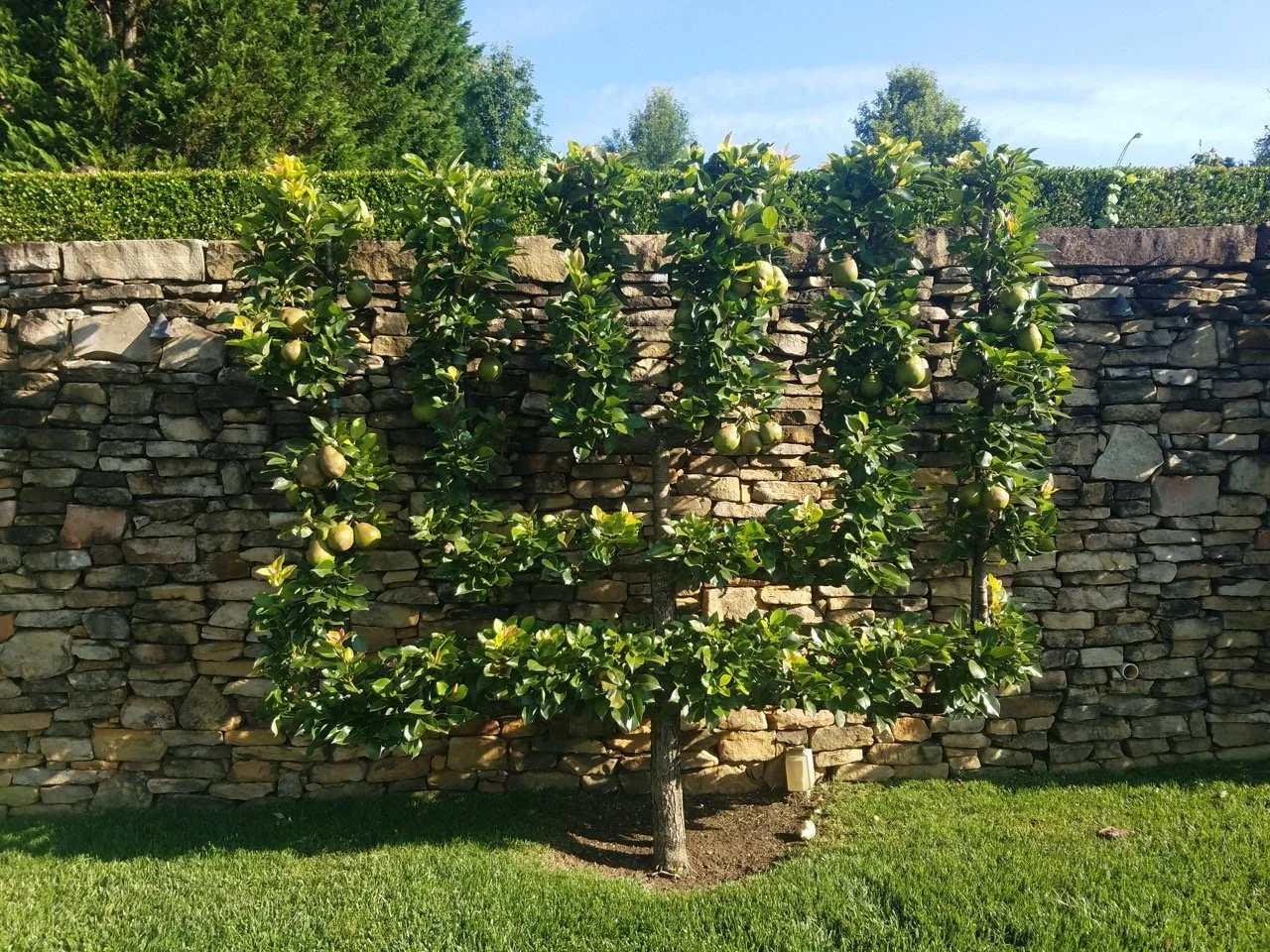 20180824_091535 Large.jpeg