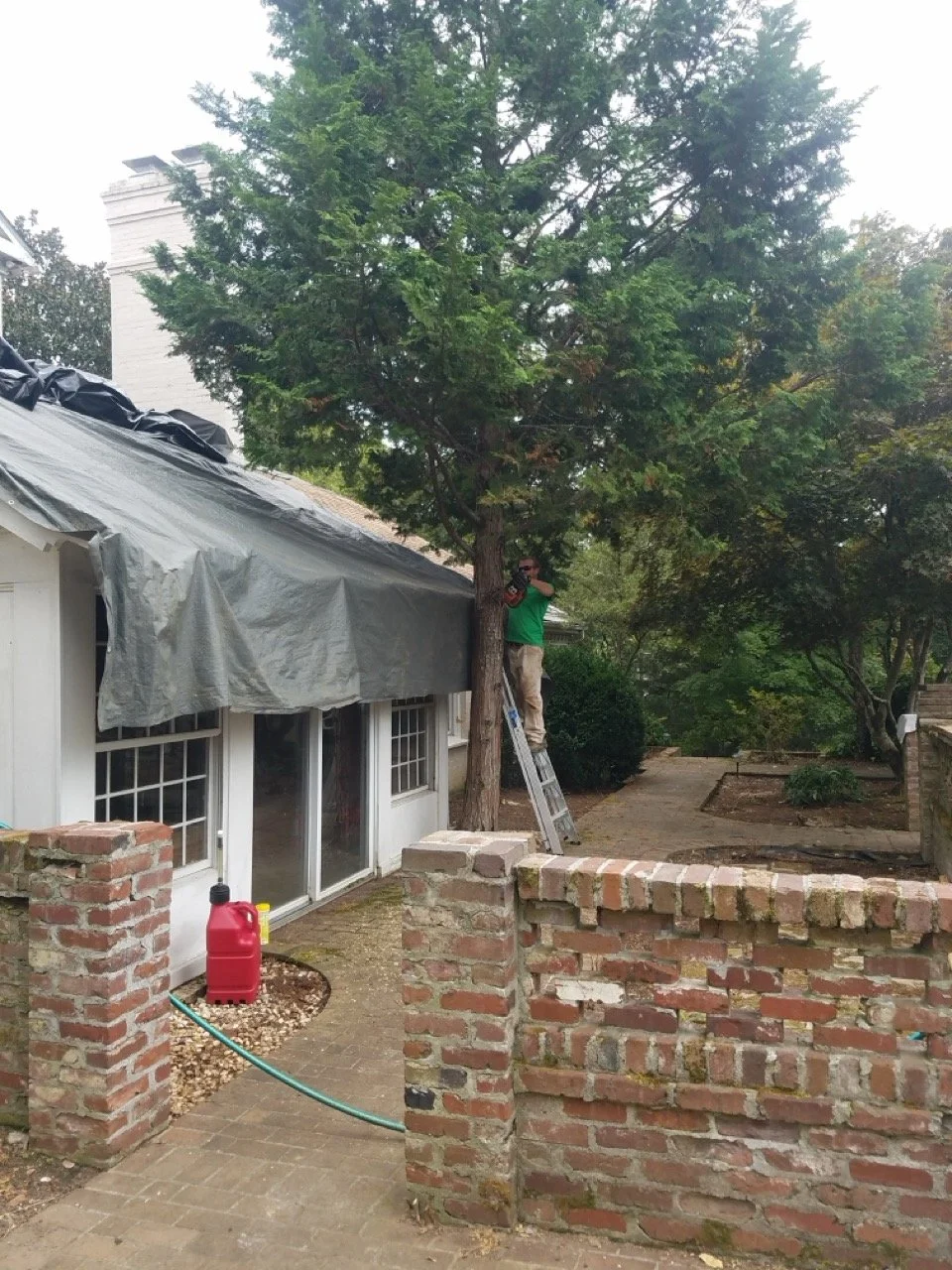 20180905_143716 Large.jpeg