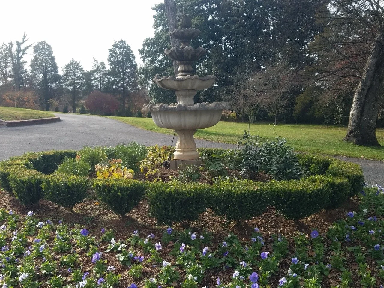 20201124_130516 Large.jpeg