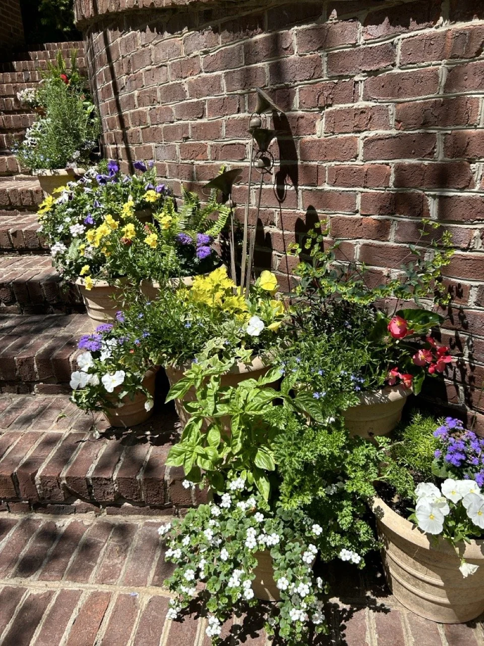 20230504_184711871_iOS Large.jpeg