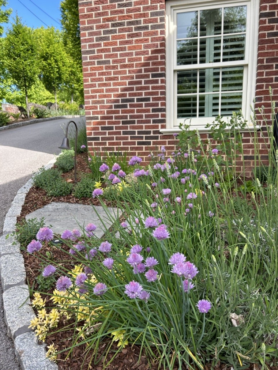 20230505_142223492_iOS Large.jpeg