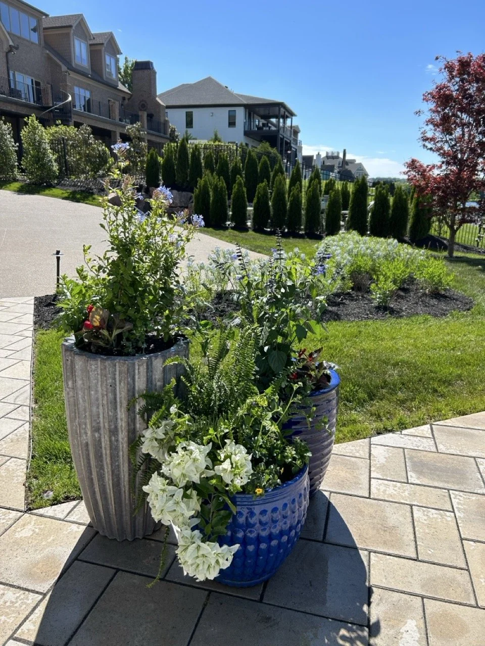 20230505_201006348_iOS Large.jpeg