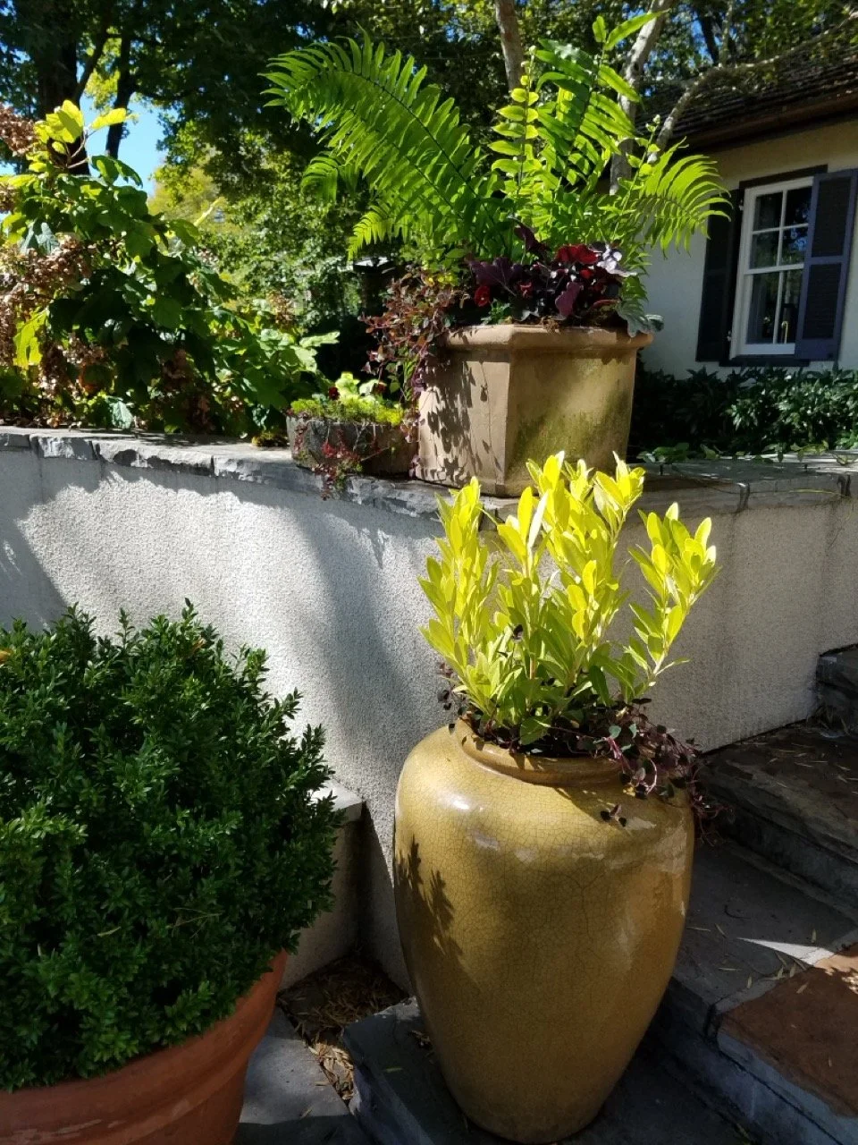 20161007_133637 Large.jpeg