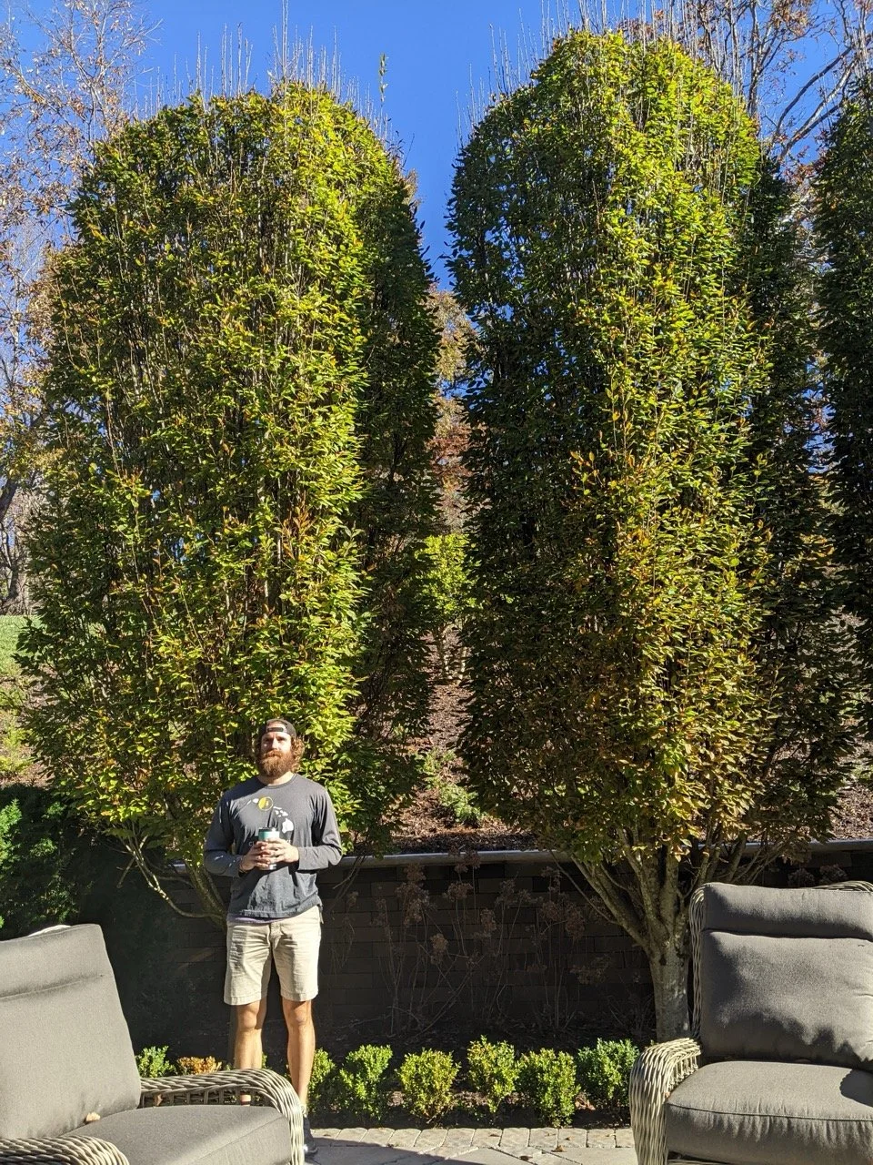 PXL_20221109_145316589 Large.jpeg