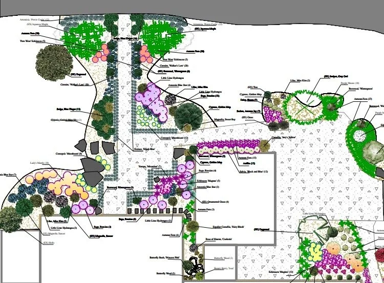 Screenshot 2024-01-24 111029 Large.jpeg