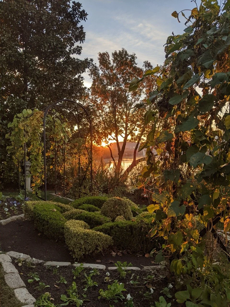 PXL_20221028_120256375.MP Large.jpeg