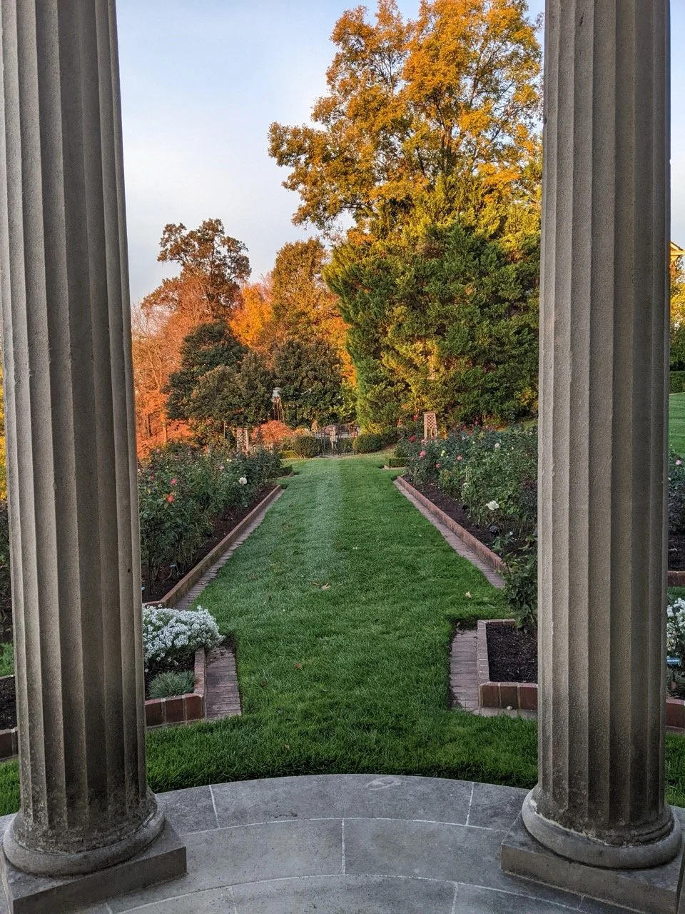 PXL_20221028_120535712.MP Large.jpeg