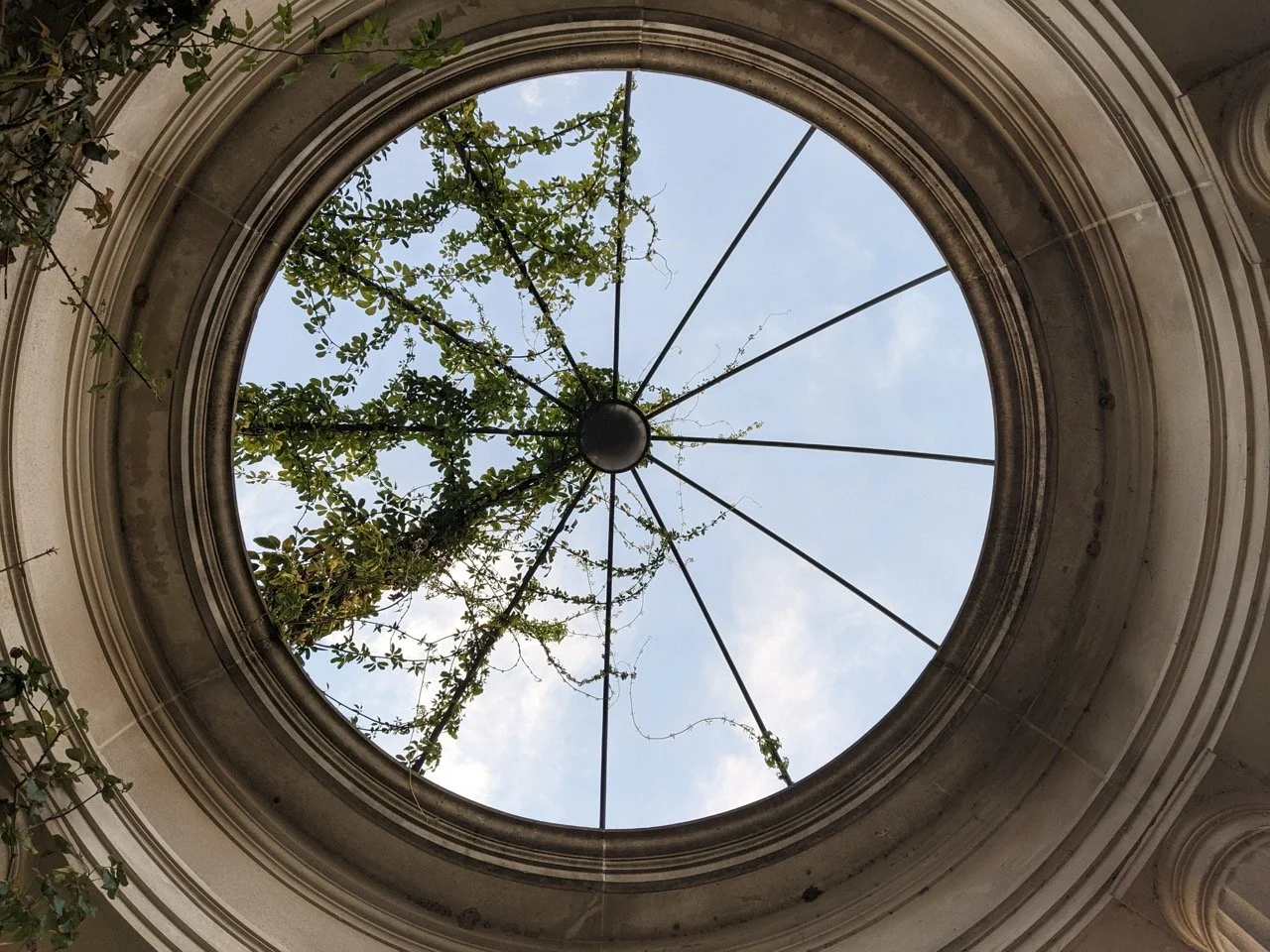 PXL_20221028_120556637.MP Large.jpeg