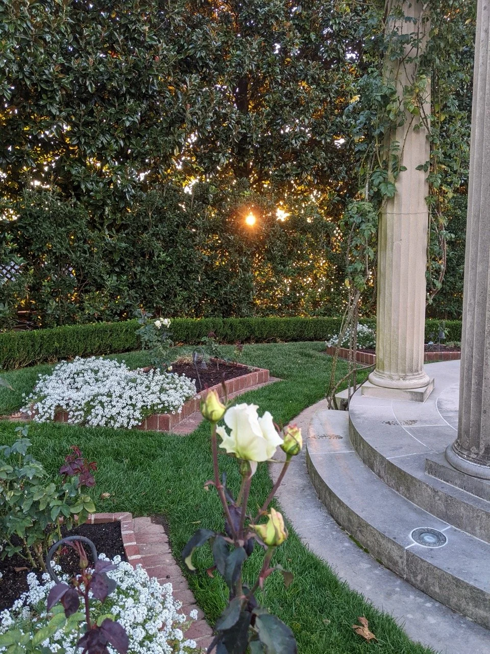 PXL_20221028_120723989.MP Large.jpeg