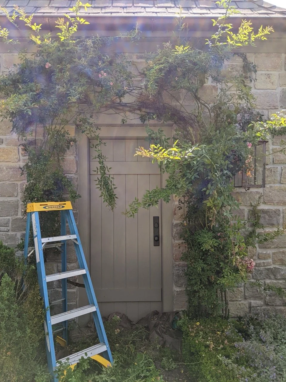 PXL_20220610_145319073 Large.jpeg