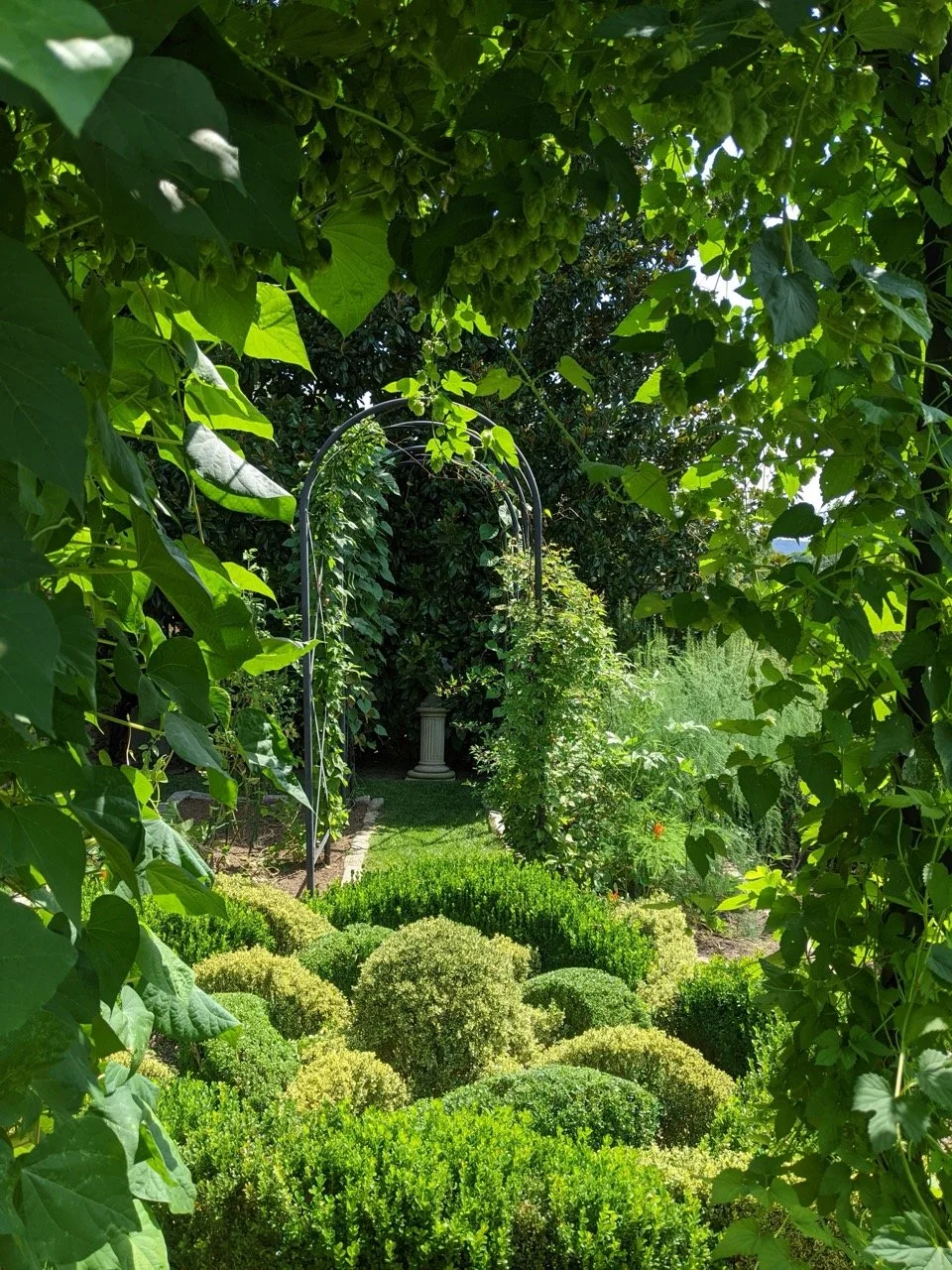 PXL_20220819_154947713 Large.jpeg