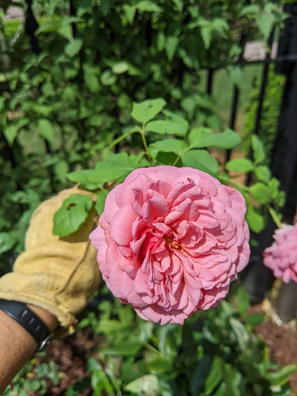 PXL_20220906_180659715 Large.jpeg