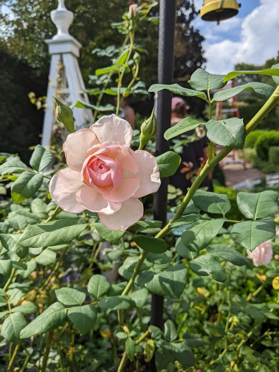 PXL_20220906_194811179 Large.jpeg