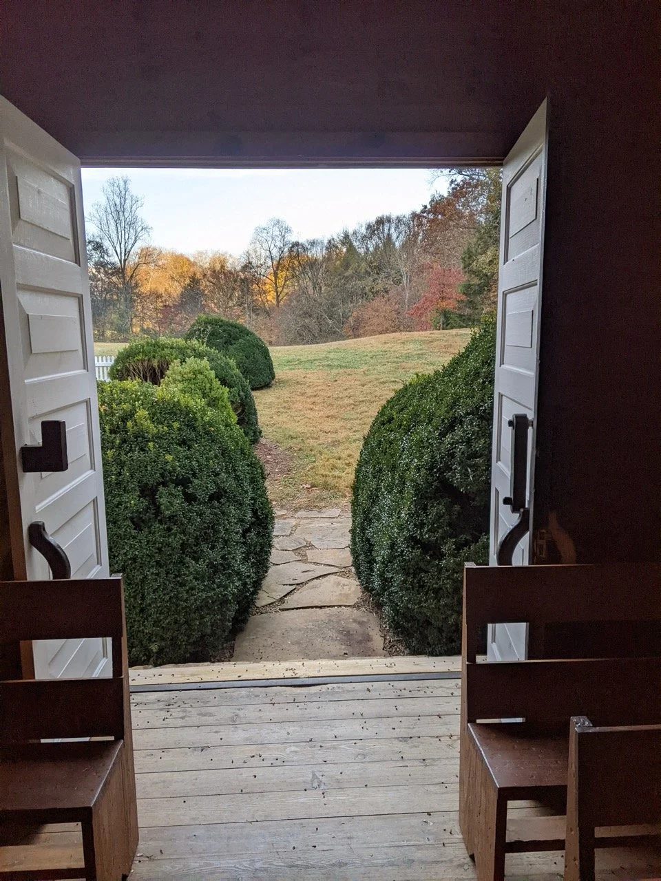 PXL_20221024_131327166.MP Large.jpeg