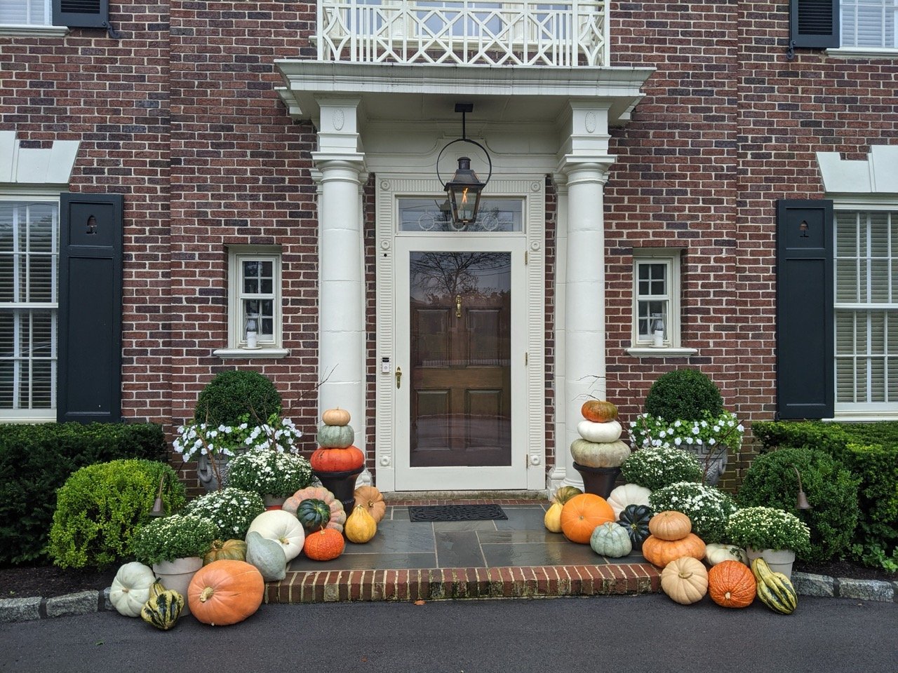 PXL_20211003_170015385 Large.jpeg