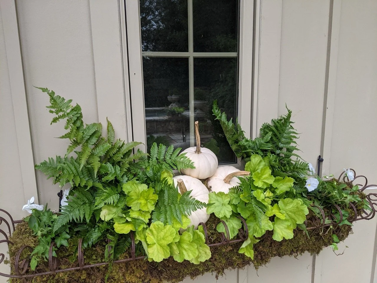 PXL_20211012_174628552 Large.jpeg