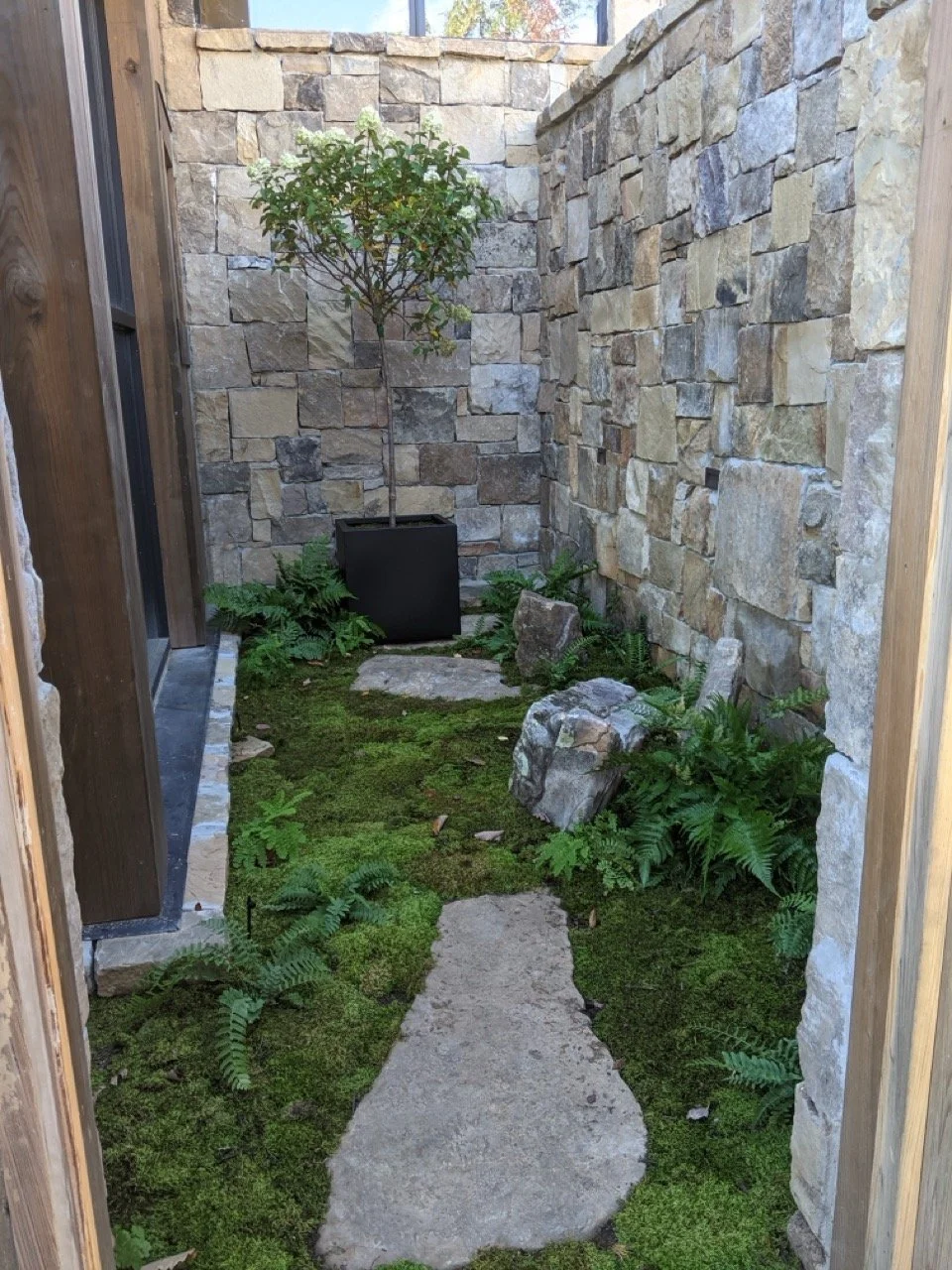 PXL_20211027_192526264 Large.jpeg