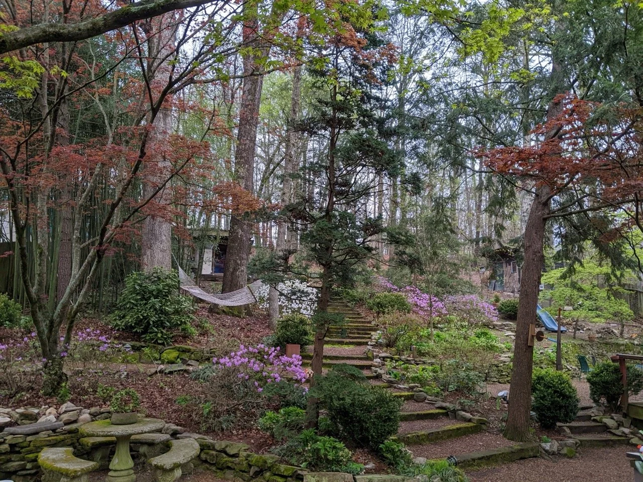 PXL_20220406_112539512.MP Large.jpeg