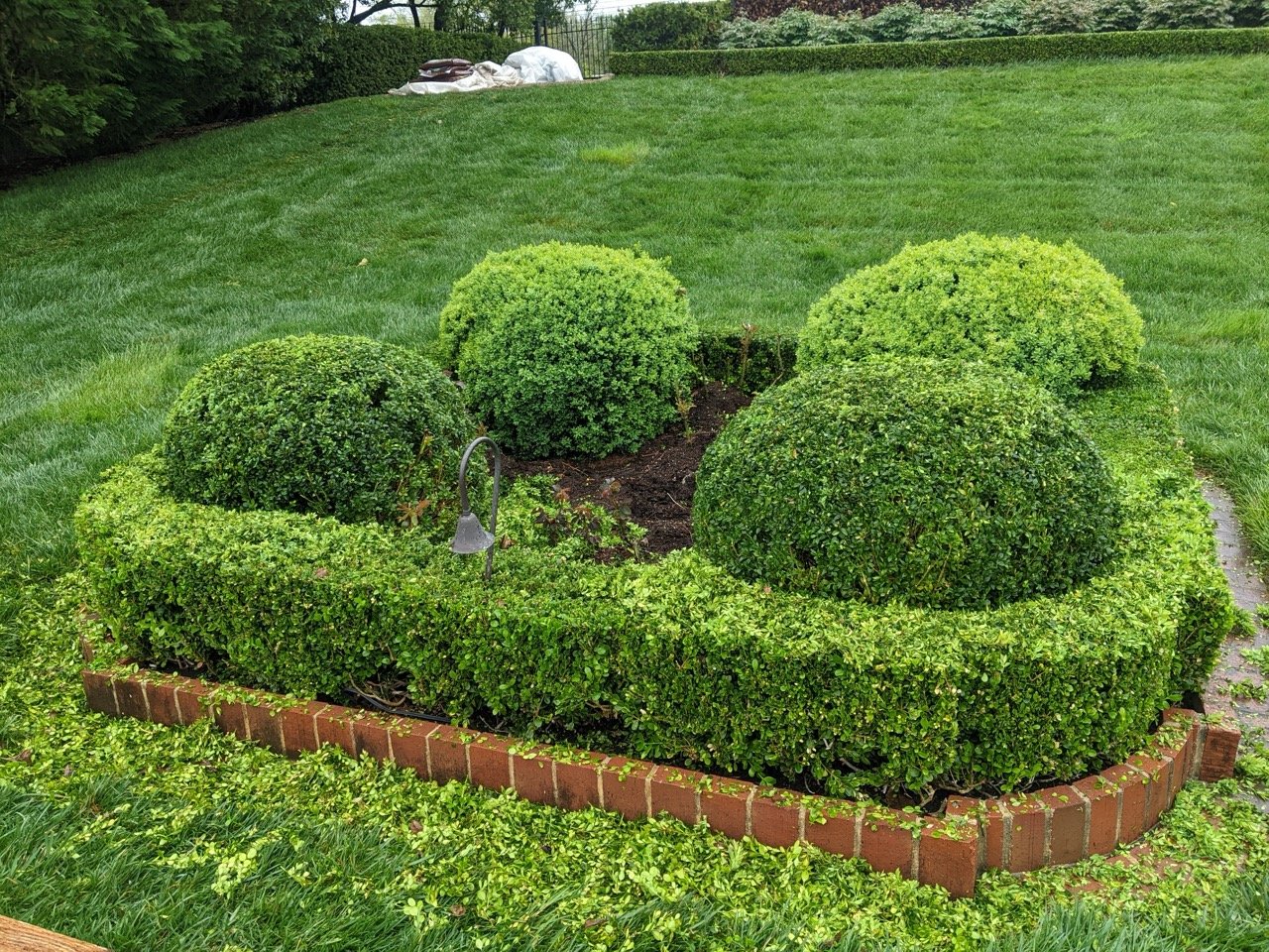 PXL_20220414_142102834.MP Large.jpeg