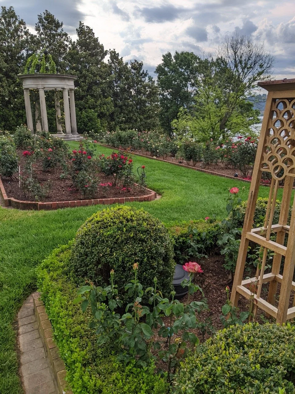 PXL_20220516_125911819 Large.jpeg