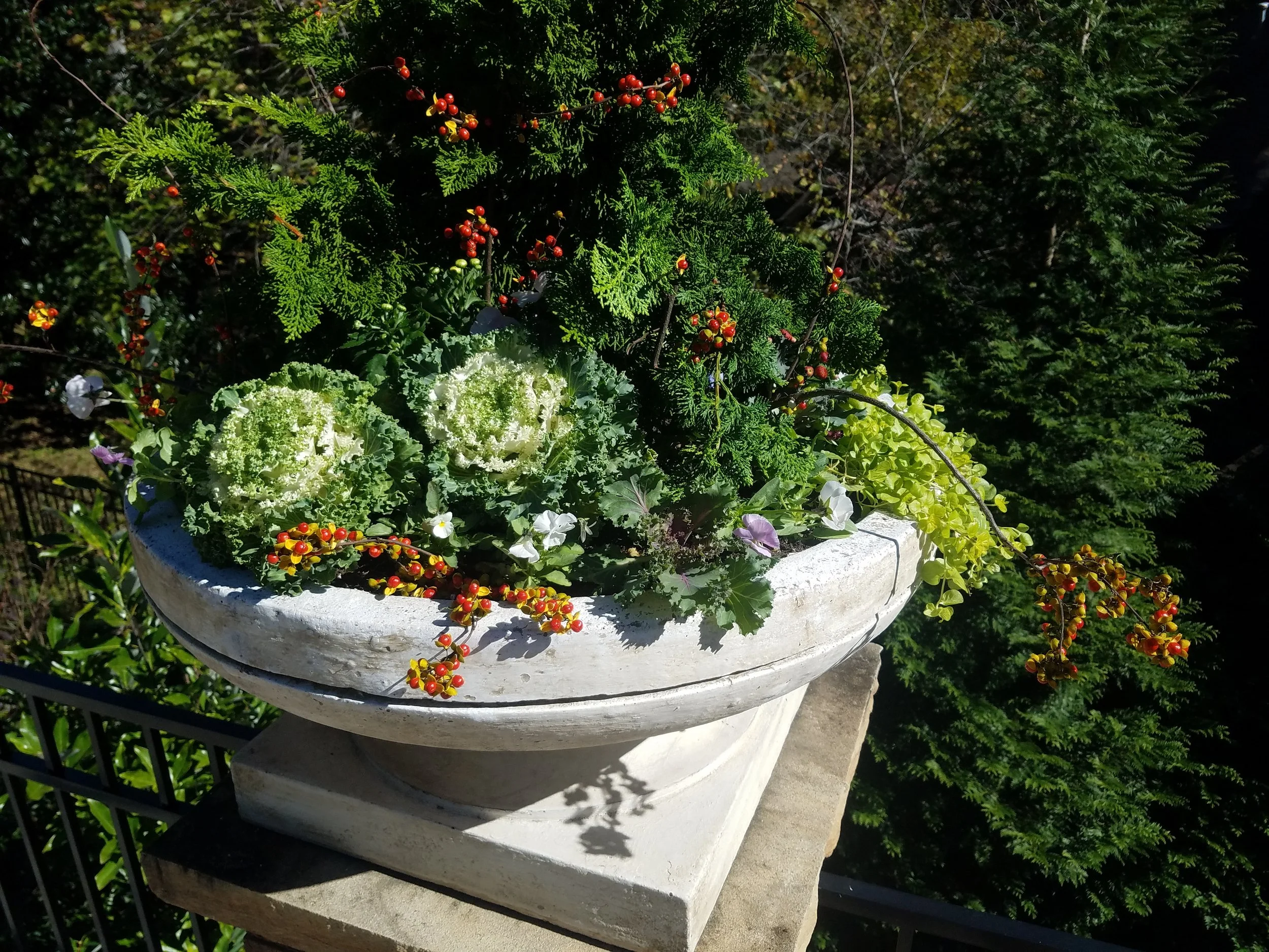 20181024_144217.jpg