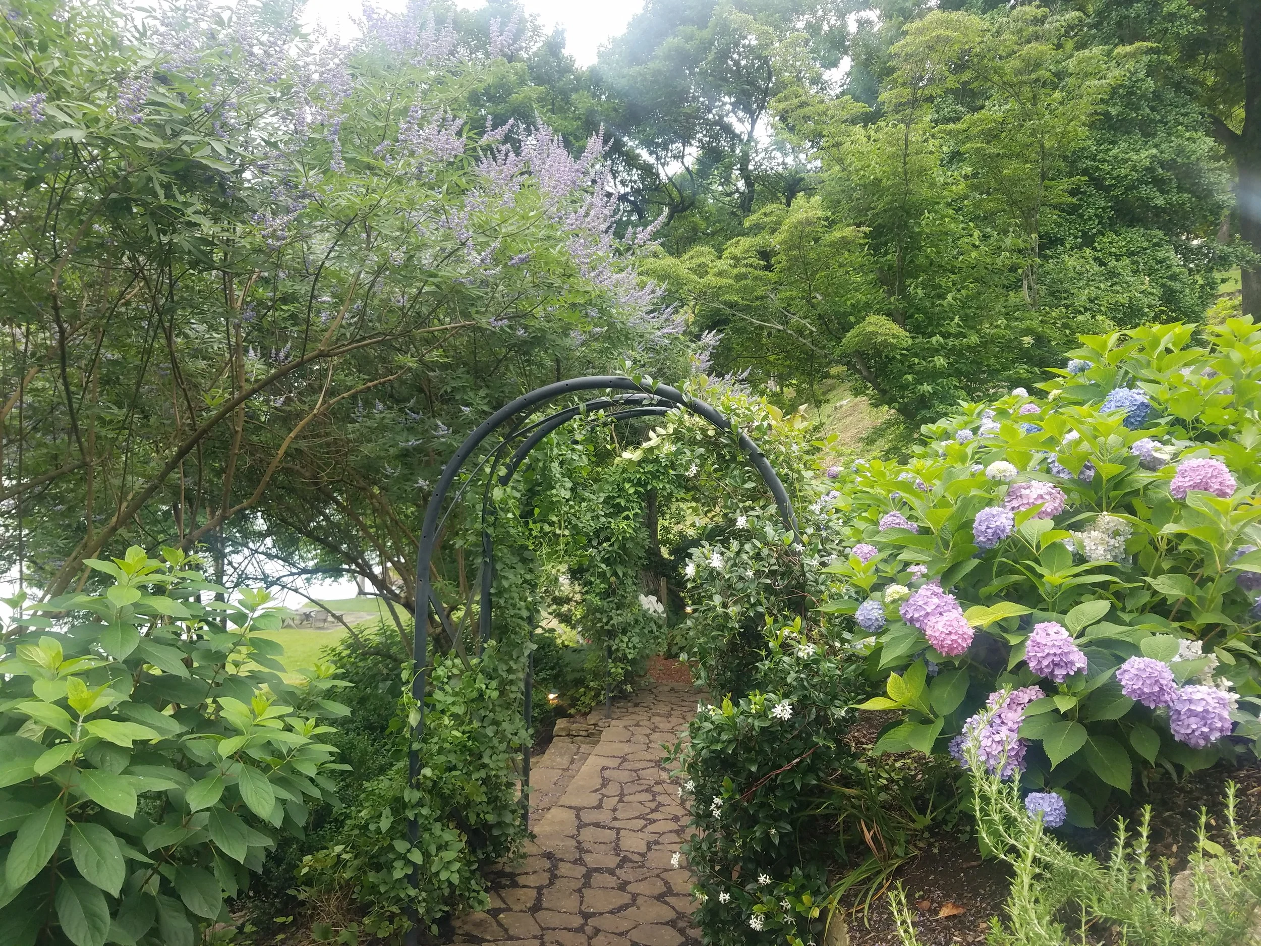 20190620_190100.jpg