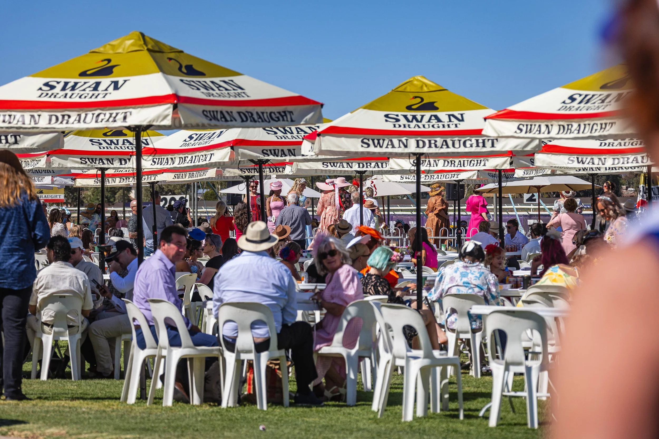 Empty sports field with freshly mowed green grass, fencing on the left, and a cricket pitch on the right. Background includes trees, houses, and advertising banners.