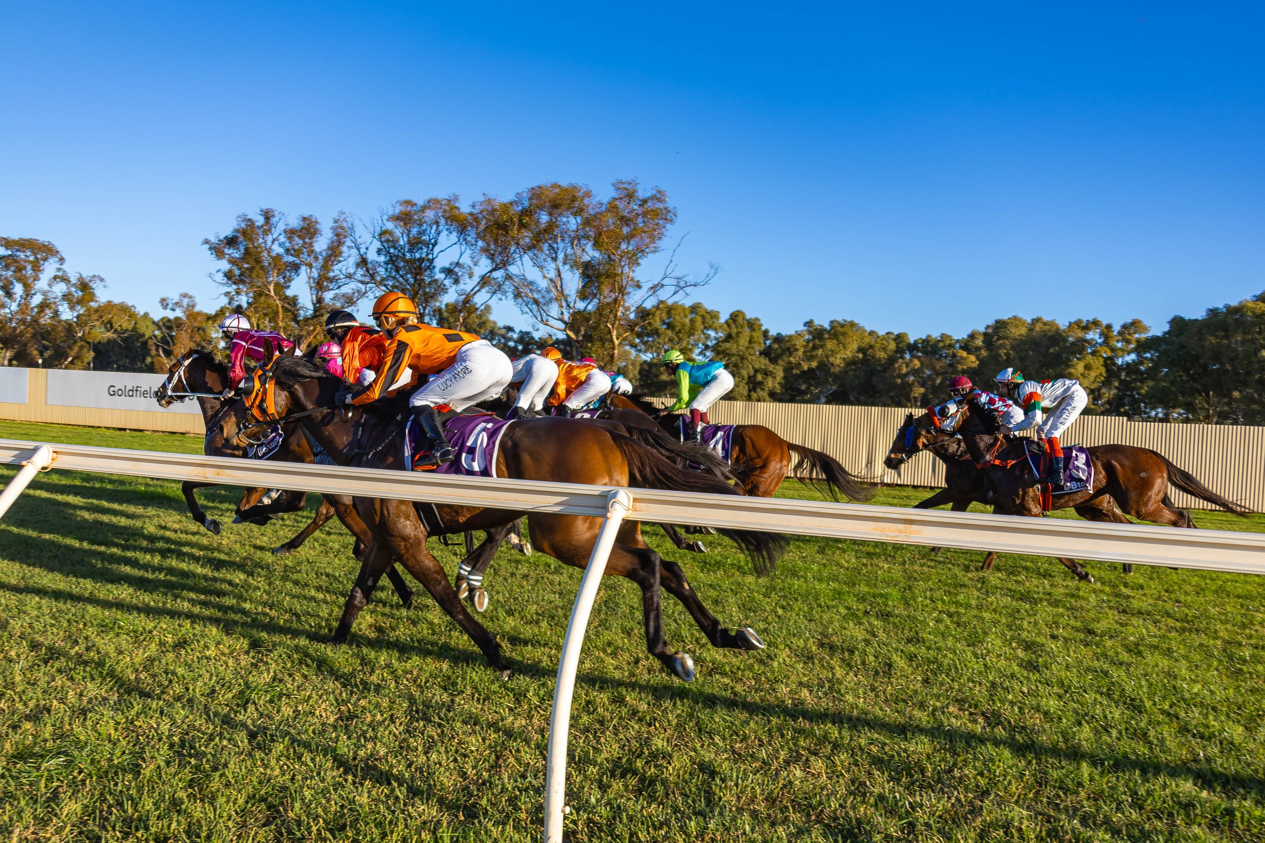 Variety Race Day 26th July 2026
